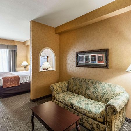 Comfort Suites Alamo-River Walk Сан-Антонио Экстерьер фото