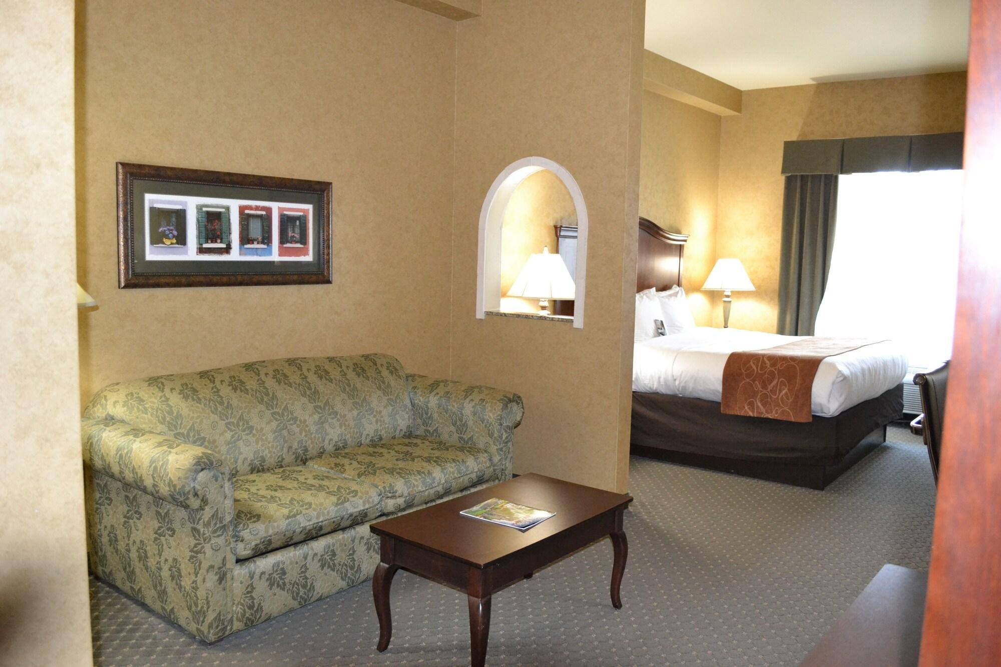 Comfort Suites Alamo-River Walk Сан-Антонио Экстерьер фото