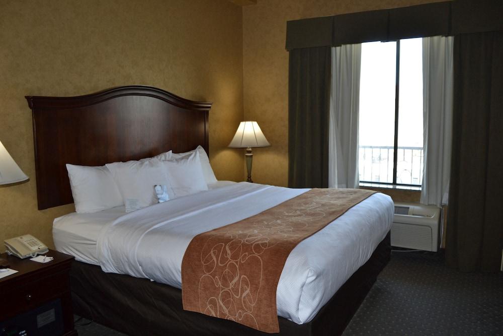 Comfort Suites Alamo-River Walk Сан-Антонио Экстерьер фото